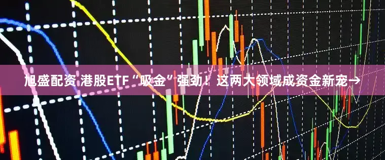 旭盛配资 港股ETF“吸金”强劲！这两大领域成资金新宠→
