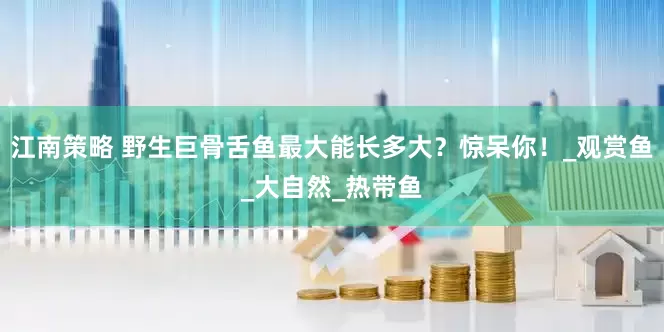江南策略 野生巨骨舌鱼最大能长多大？惊呆你！_观赏鱼_大自然_热带鱼