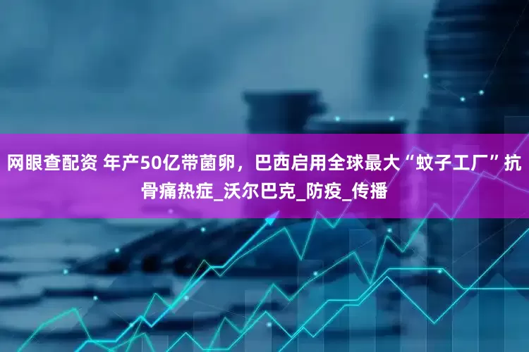 网眼查配资 年产50亿带菌卵，巴西启用全球最大“蚊子工厂”抗骨痛热症_沃尔巴克_防疫_传播